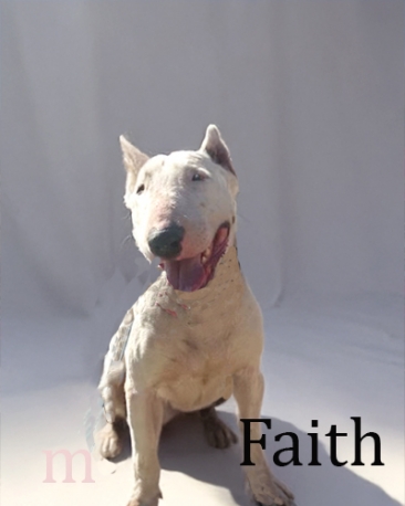 Faith